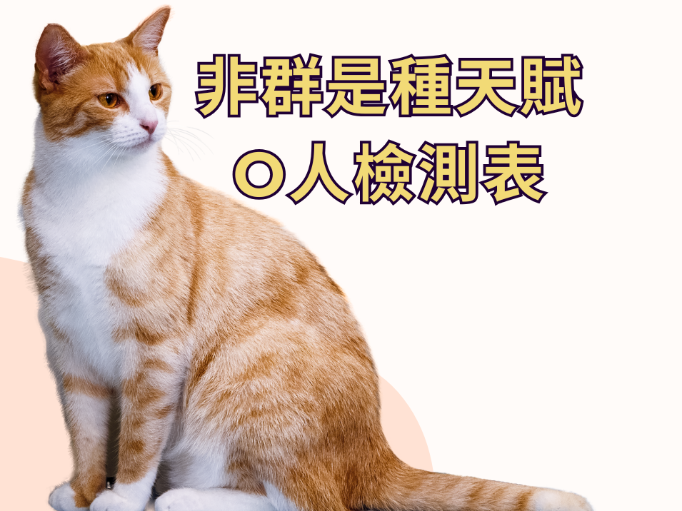 你是不是O人小測驗